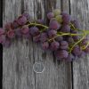 Buy Online Vanessa Red Grape Vine With Sweet, Seedless Type Of Fruit. –  Maya Gardens, Inc.