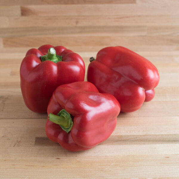 'Red Knight' Bell Pepper Transplant